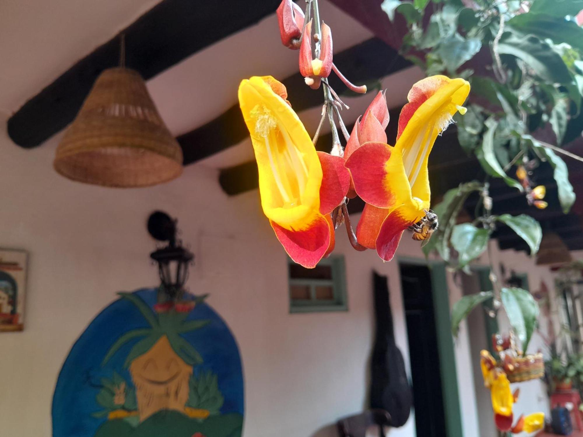 Beija Flor Hostel 비야 데 레이바 외부 사진